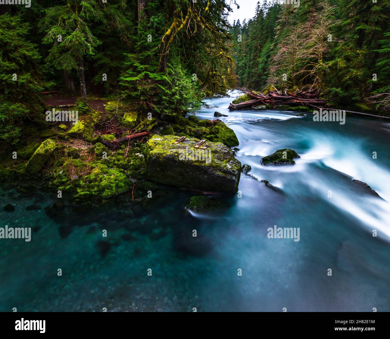 Rivière Skokomish près du lac Cushman dans l'État de Washington Banque D'Images