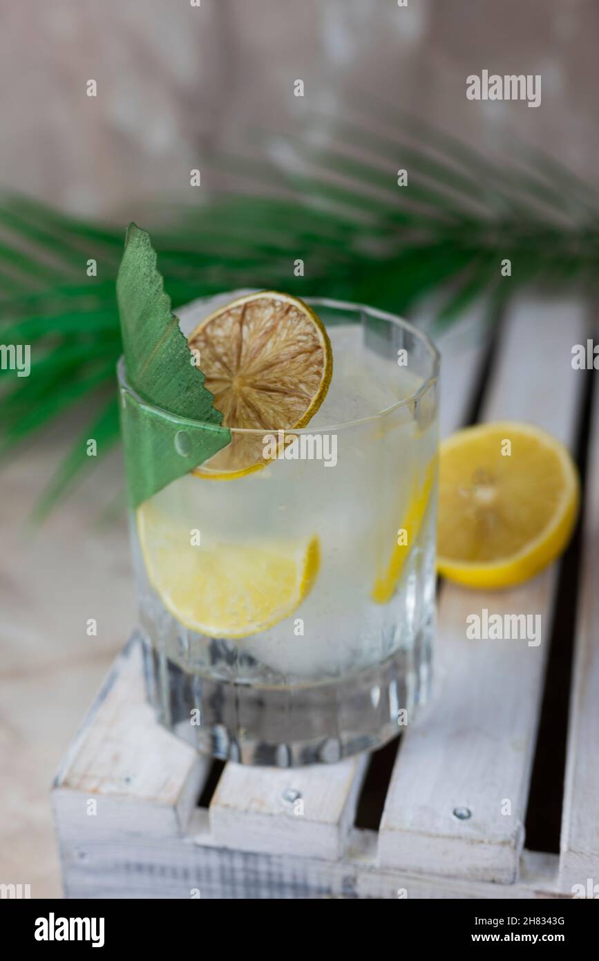 cocktail froid avec glace gintonique transparente avec citron et feuille de bambou Banque D'Images