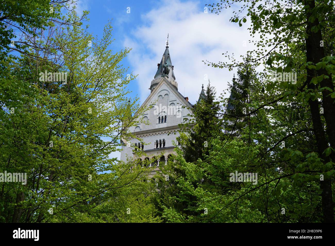 Château bavarois Neuschwanstein dans les Alpes et lac Forggensee en arrière-plan (Bavière, Allemagne) Banque D'Images