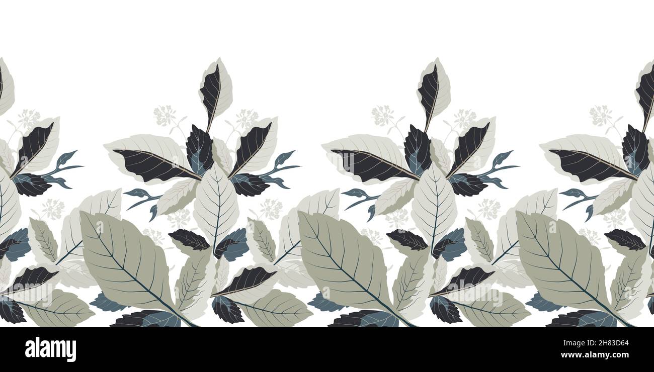 Motif fleuri vectoriel sans couture, bordure.Design horizontal panoramique avec feuilles d'ivoire et inflorescences sur fond blanc. Illustration de Vecteur