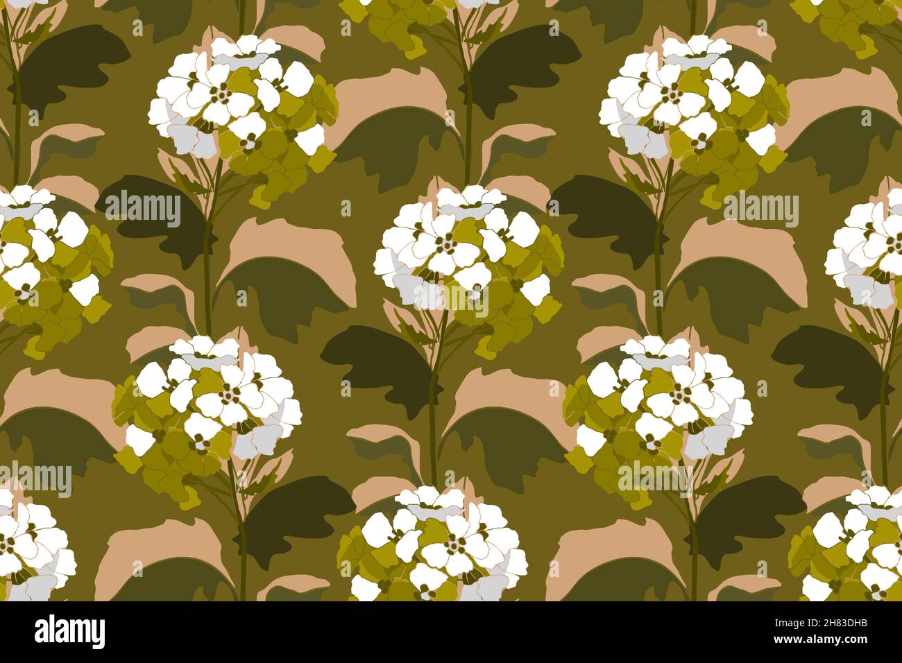 Motif fleuri vectoriel sans coutures.Inflorescences de fleurs blanches avec feuilles beige sur fond kaki. Illustration de Vecteur