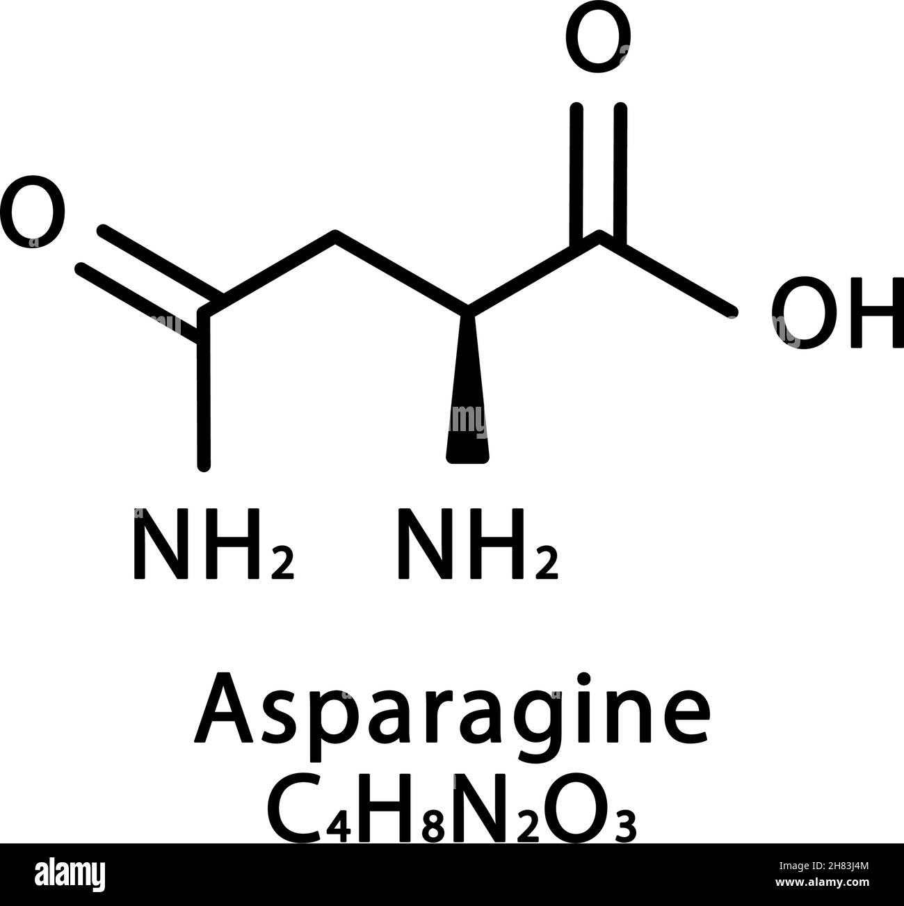 structure-mol-culaire-de-l-asparagine-formule-chimique-du-squelette-d