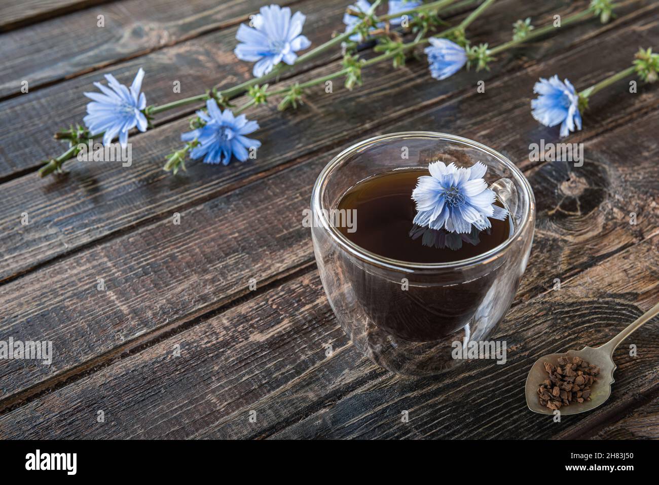 Alternative sans caféine à la boisson à base de café faite de chicorée dans une tasse en verre thermo, tiges de chicorée fraîches, cuillère vintage avec racine de chicorée instantanée granulée Banque D'Images