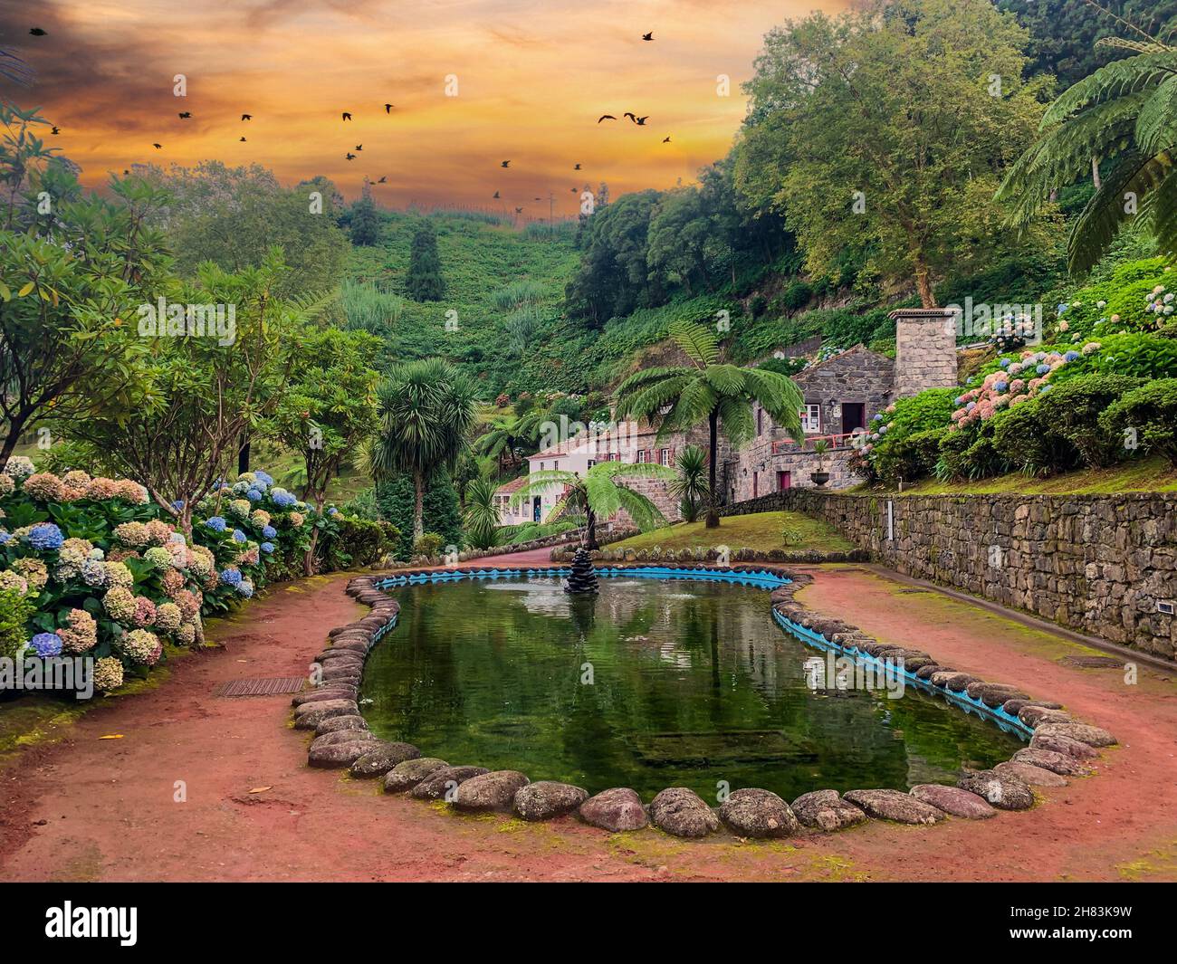 Açores, Portugal.C'est Parque Natural da Ribeira dos Caldeiroes jardin botanique, une zone protégée dans la paroisse d'Achada. Banque D'Images