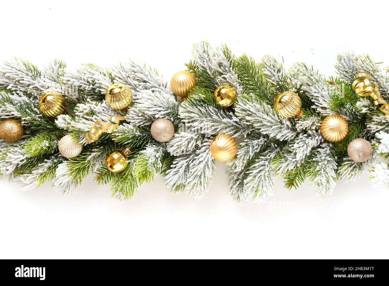 Bannière de Noël avec boules d'or en rangée sur des branches de sapin vert éternel enneigées isolées sur fond blanc.Grande taille. Banque D'Images