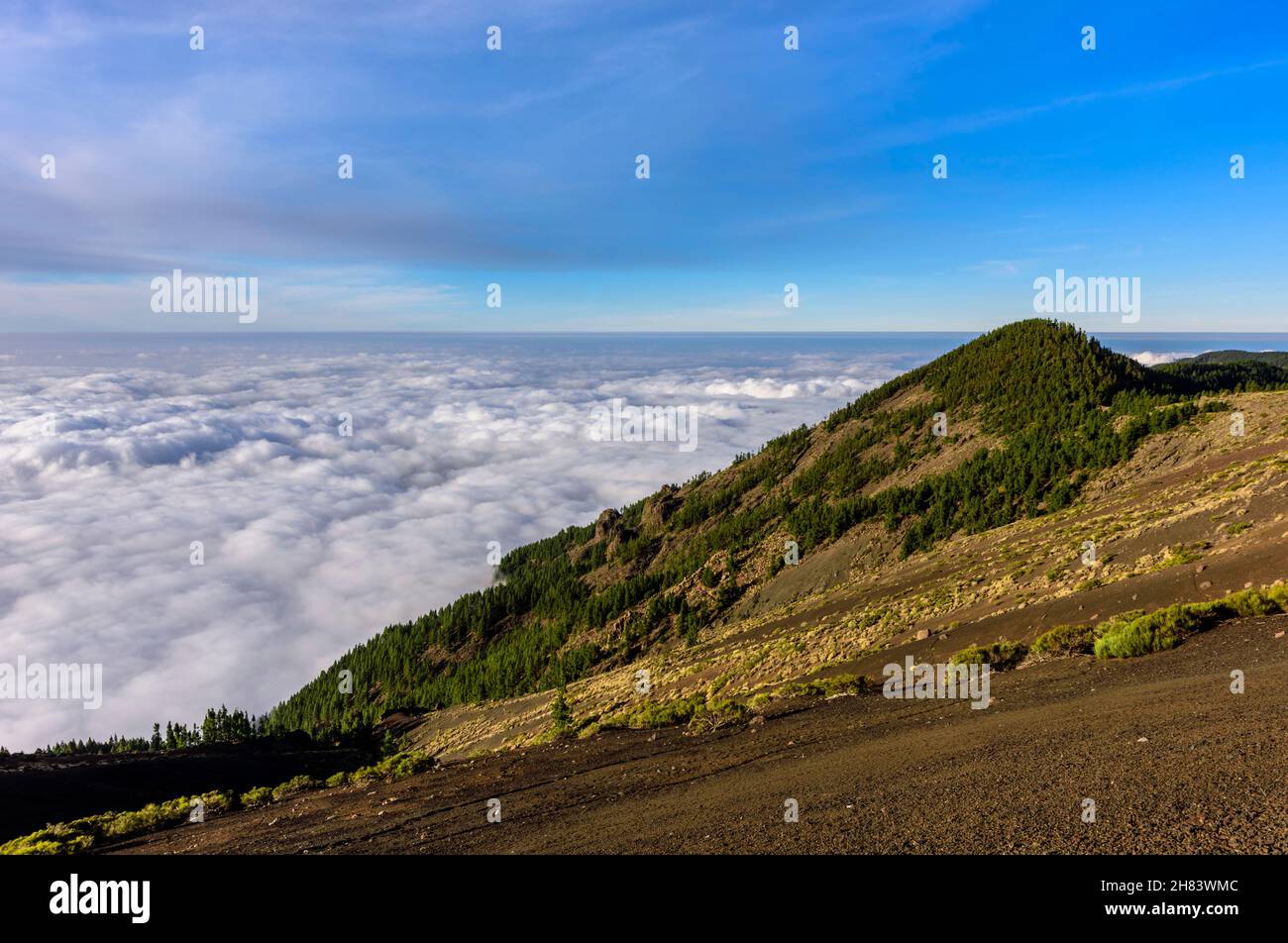 Au-dessus des nuages dans Teide Nationalpark, Tenerife, Espagne Banque D'Images