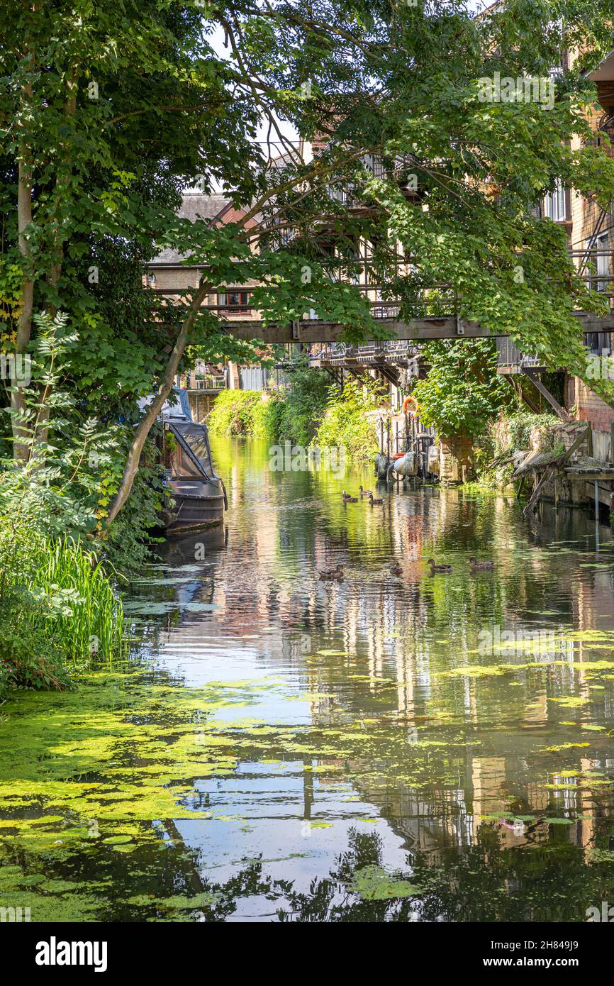 Hen Brook, St Neots, Cambridgeshire. Banque D'Images