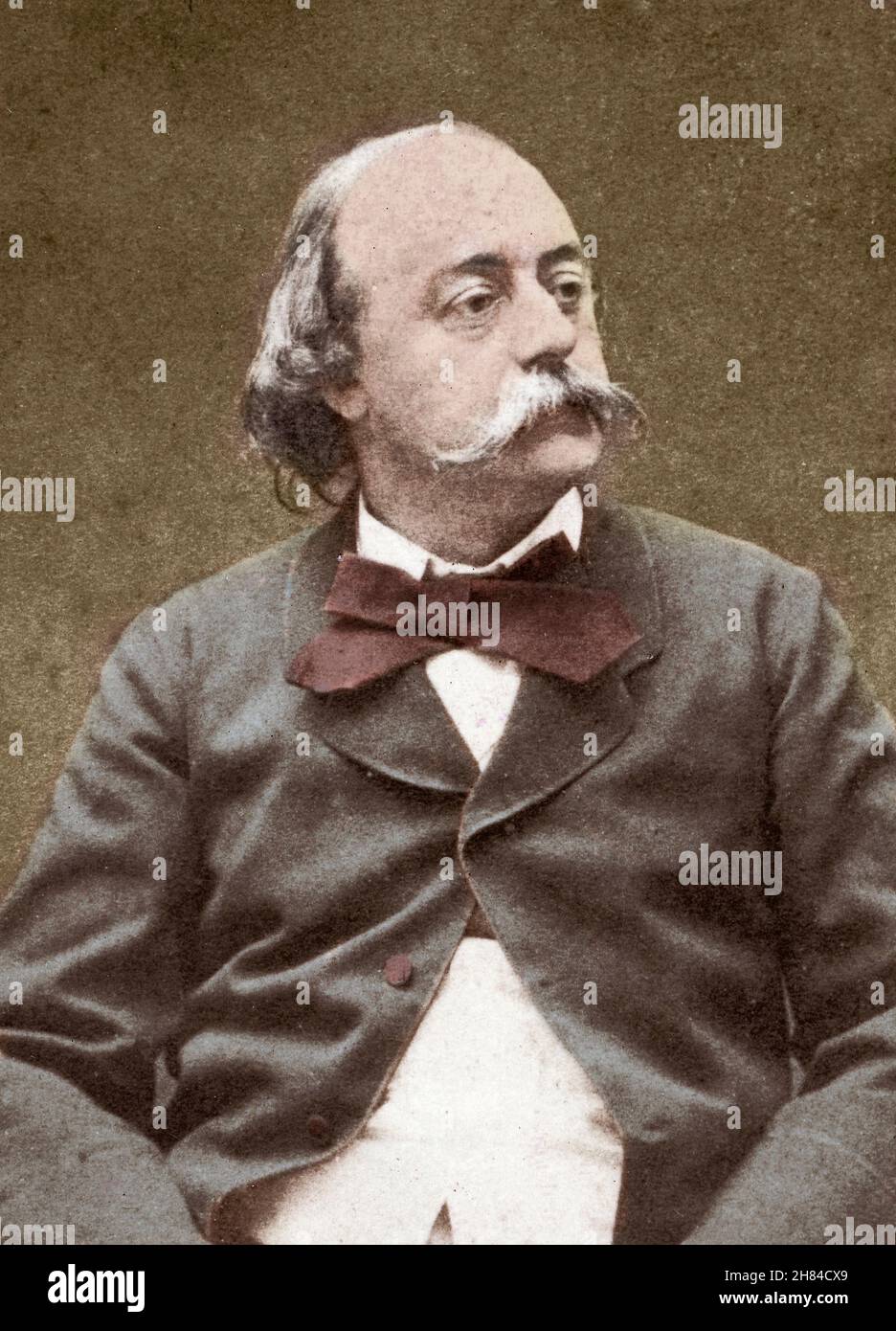 Portrait de Gustave Flaubert (1821-1880) Banque D'Images