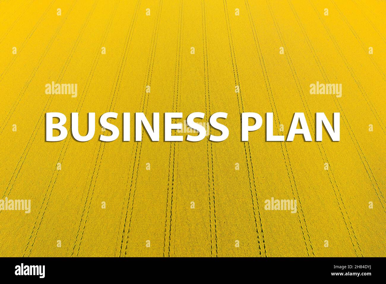 Inscription au plan d'affaires sur le fond du champ de tournesol jaune.Plan d'affaires pour les agriculteurs.Bannière pour l'idée d'affaires Comment démarrer une entreprise agricole rentable et de cultiver le tournesol. Banque D'Images