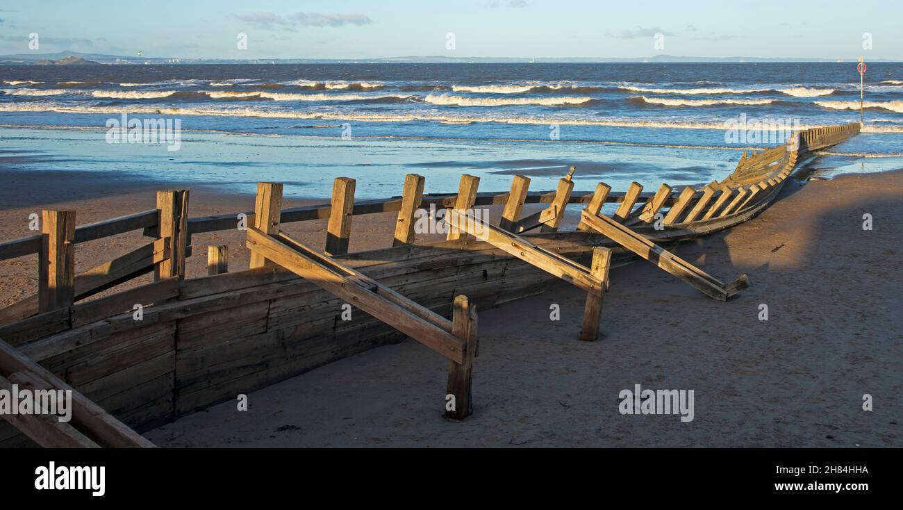 Portobello, Édimbourg, Écosse, Royaume-Uni.27 novembre 2021.La plage de bois groyne numéro 4 a été épatée par Storm Arwen laissant une partie de celle-ci à un angle d'environ 45 degrés et dans un état désolé après les vagues ferocius qui ont dû entrer en collision avec elle pendant la nuit.Les personnes de porty ont pris aux médias sociaux pour exprimer leur tristesse pour cela et la perte de vie pour un phoque mort qui se trouve à côté de l'aine tordue.Crédit: Arch White Banque D'Images