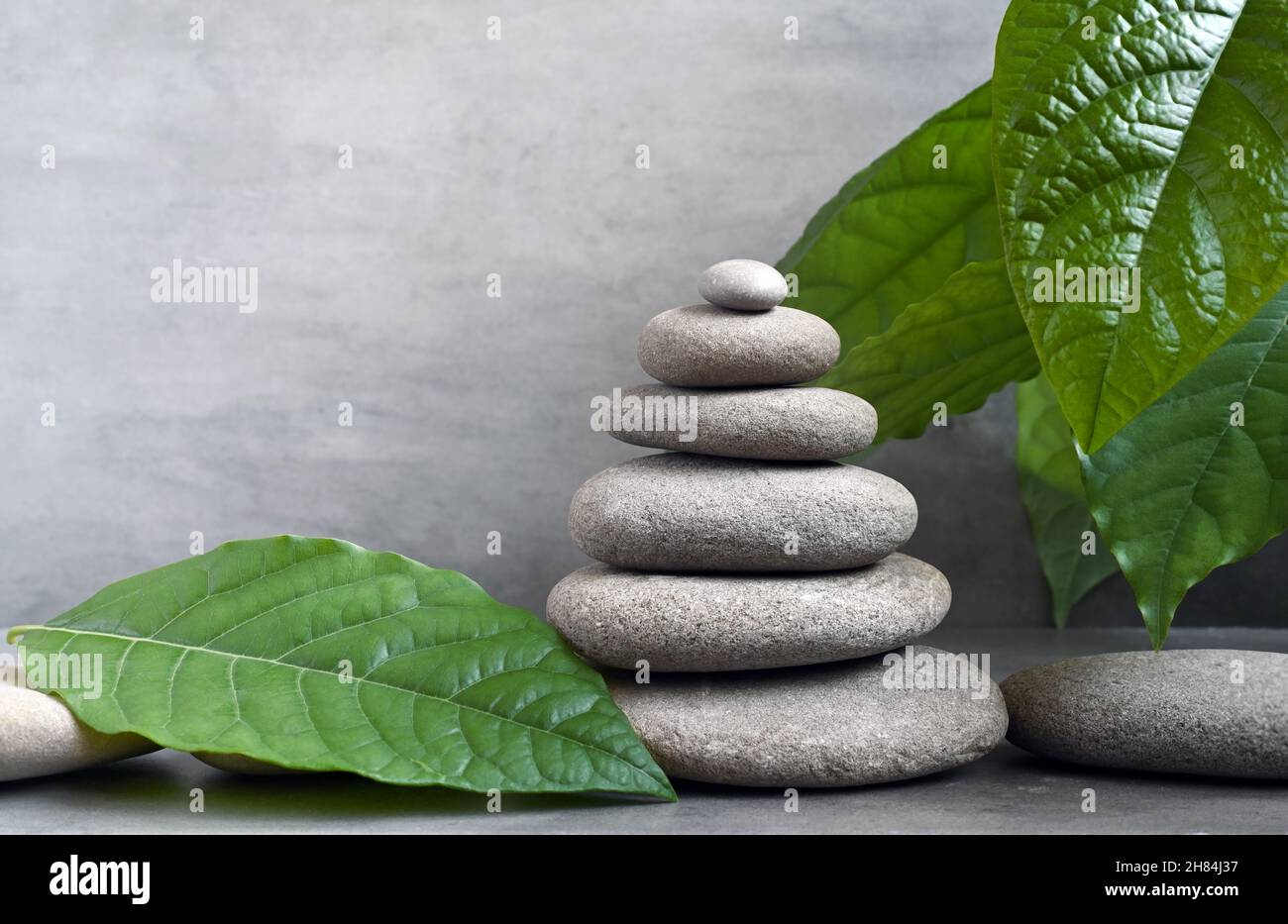 Pierres spa avec feuille verte sur fond gris.Concept spa. Banque D'Images