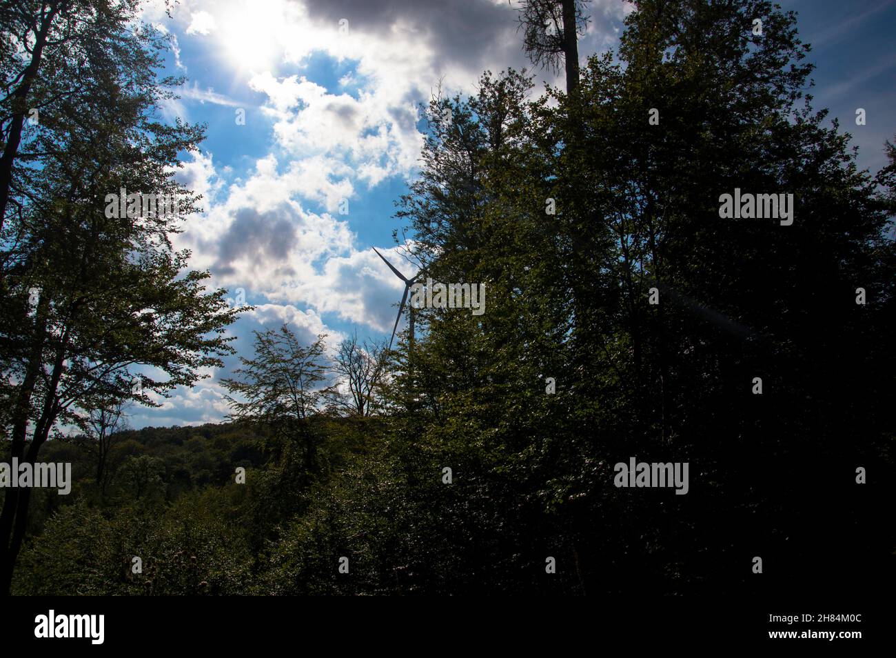 Wald in bunten wamen Farben alles ist ruhig und STILL Banque D'Images