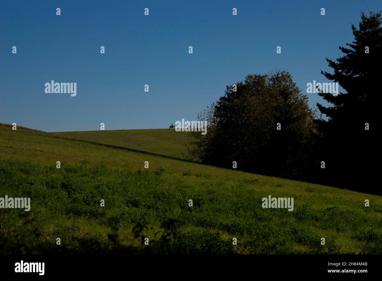Wald in bunten wamen Farben alles ist ruhig und STILL Banque D'Images