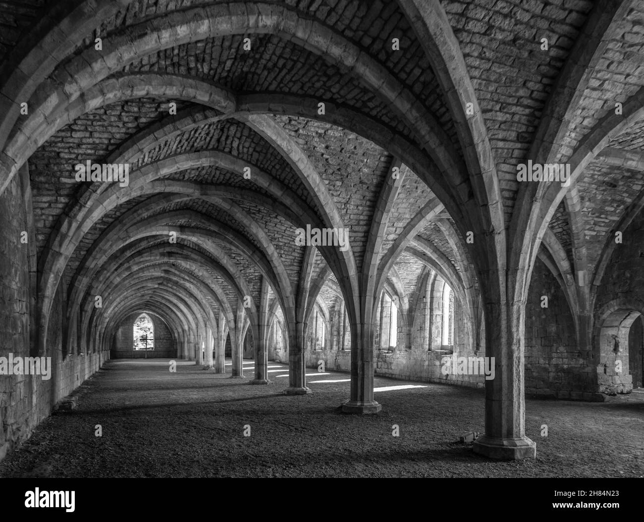 Abbaye de Fountains, Ripon, Yorkshire du Nord, Angleterre - Abbaye cistercienne datant principalement du XIIIe au XVe siècles.Le cellarium sous-terrain. Banque D'Images