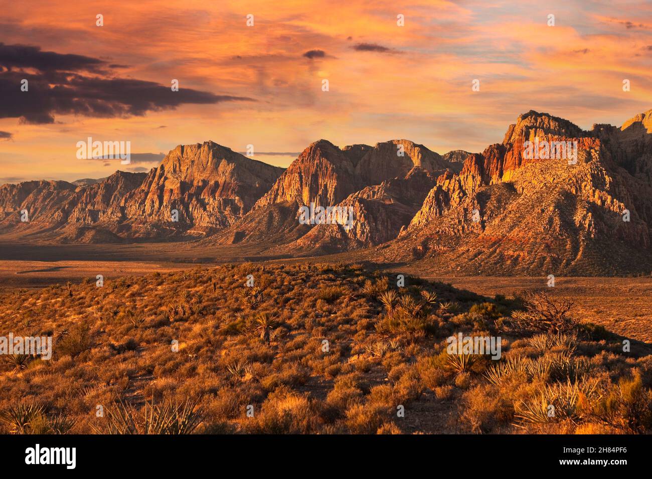 Lumière d'aube spectaculaire sur les falaises de la zone naturelle nationale de Red Rock Canyon, près de Las Vegas, Nevada. Banque D'Images