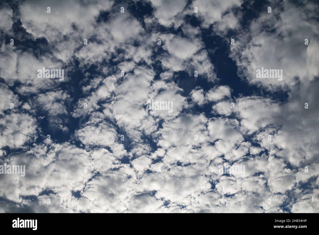 Texture de nuage blanc. Toile de fond du matériau d'air. Motif effet de ciel. Fond d'écran et arrière-plan. Banque D'Images