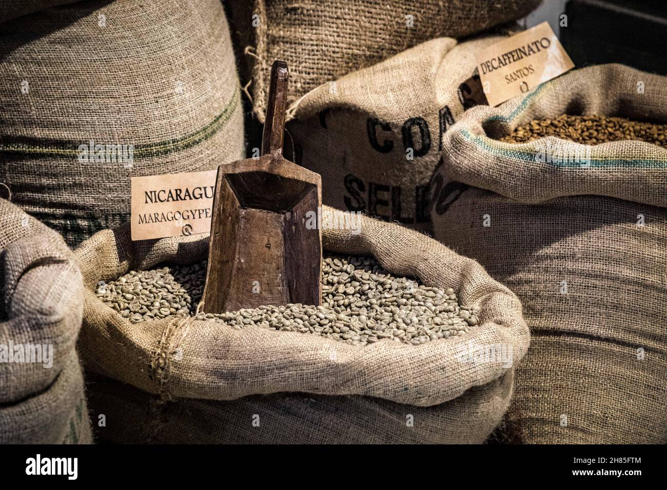 Haricots verts dans un sac de toile, avec une cuillère en bois.Prêt à rôtir Banque D'Images