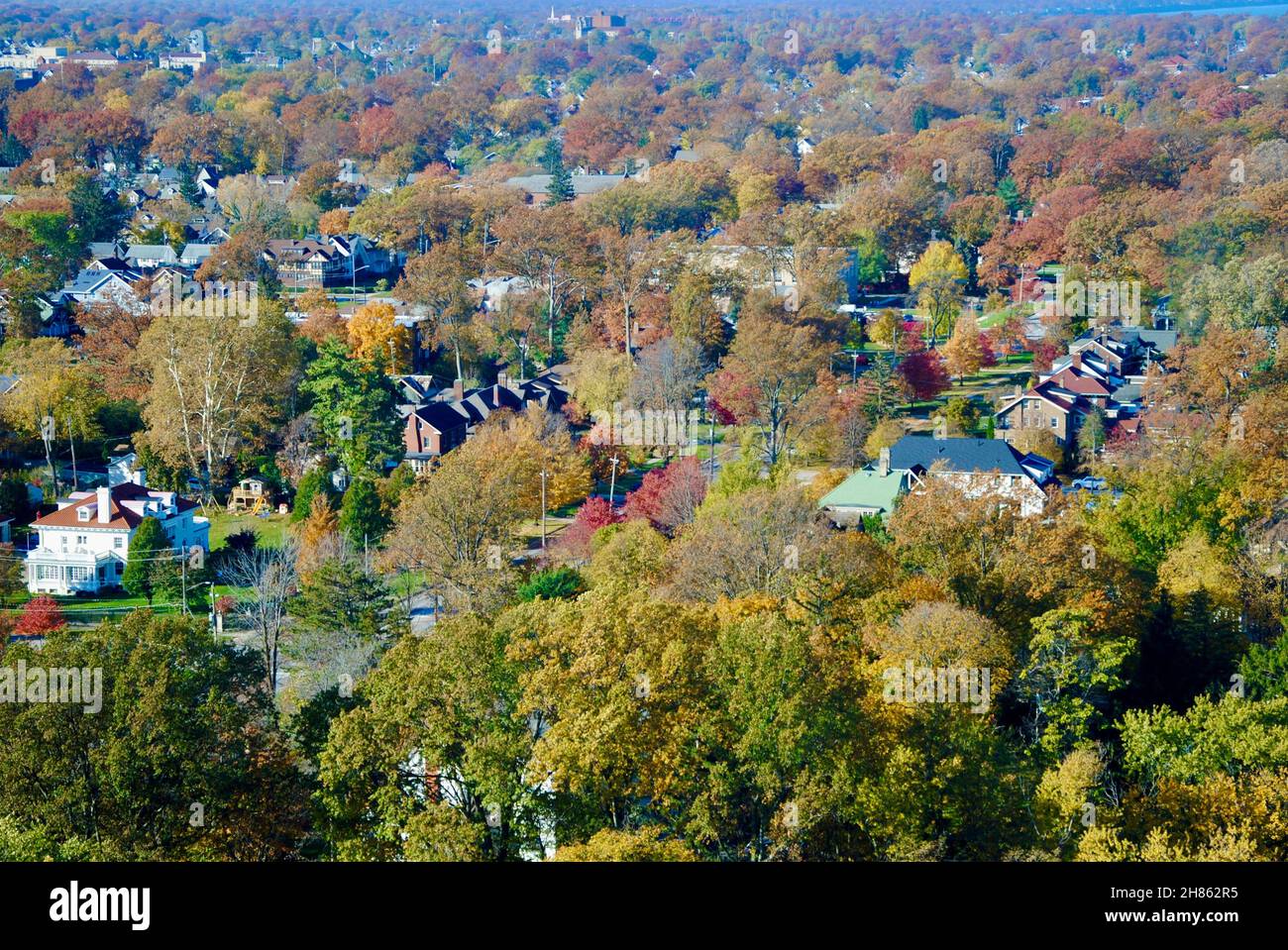 Vue sur le bois de lac aux couleurs de l'automne Banque D'Images