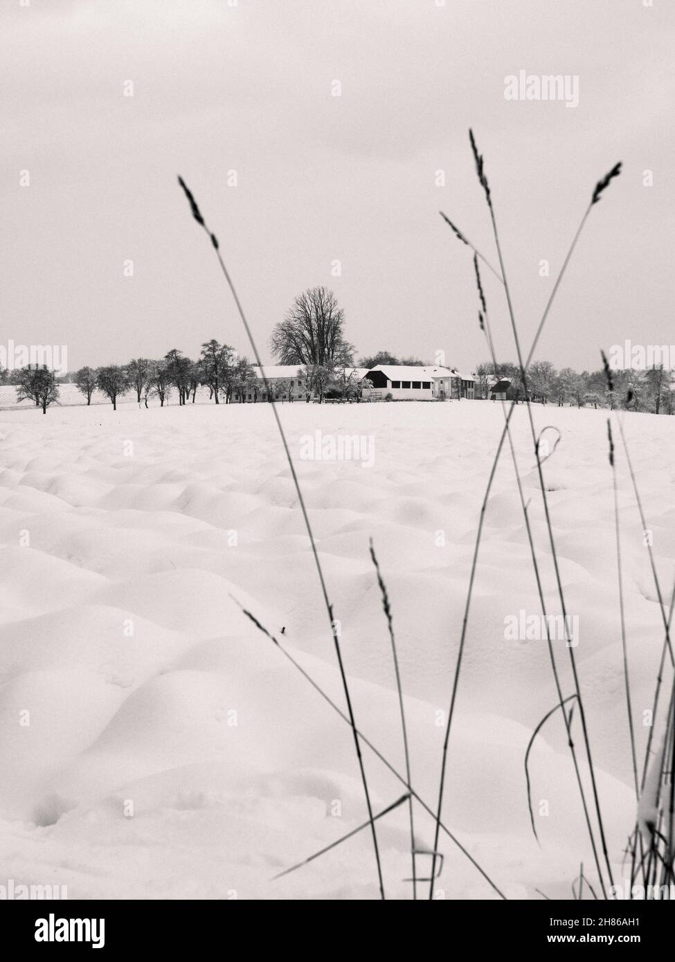 Paysage d'hiver avec ferme et neige en Basse-Autriche en noir et blanc monochrome Banque D'Images