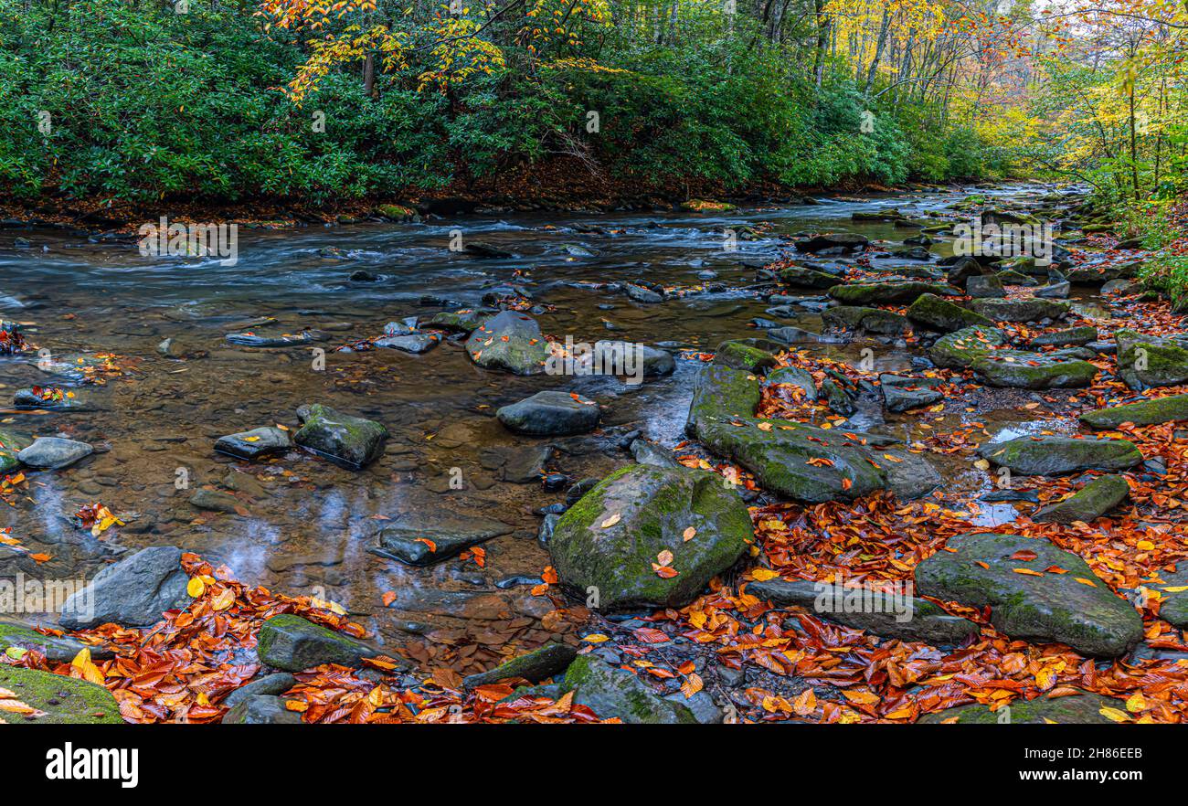 Fall Color et Dunloup Creek près de Thurmond, parc national de New River gorge, Virginie-Occidentale, États-Unis Banque D'Images