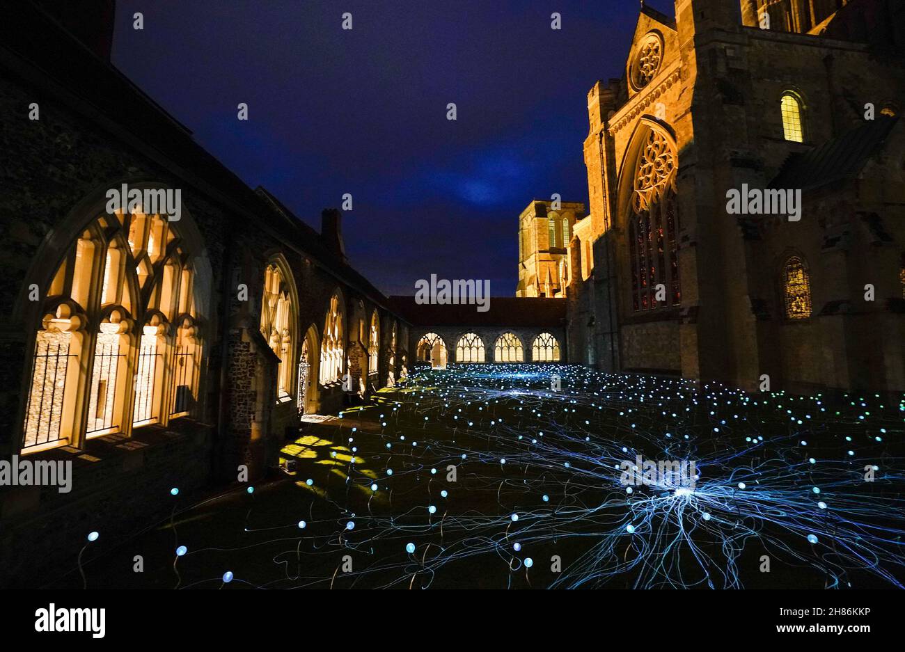 1,000 tiges de lumières à couleur changeante exposées dans les cloîtres de la cathédrale de Chichester dans le cadre d'une installation d'art immersive par l'artiste britannique Bruce Munro intitulé « Field of Blooms ».Date de la photo: Samedi 27 novembre 2021. Banque D'Images