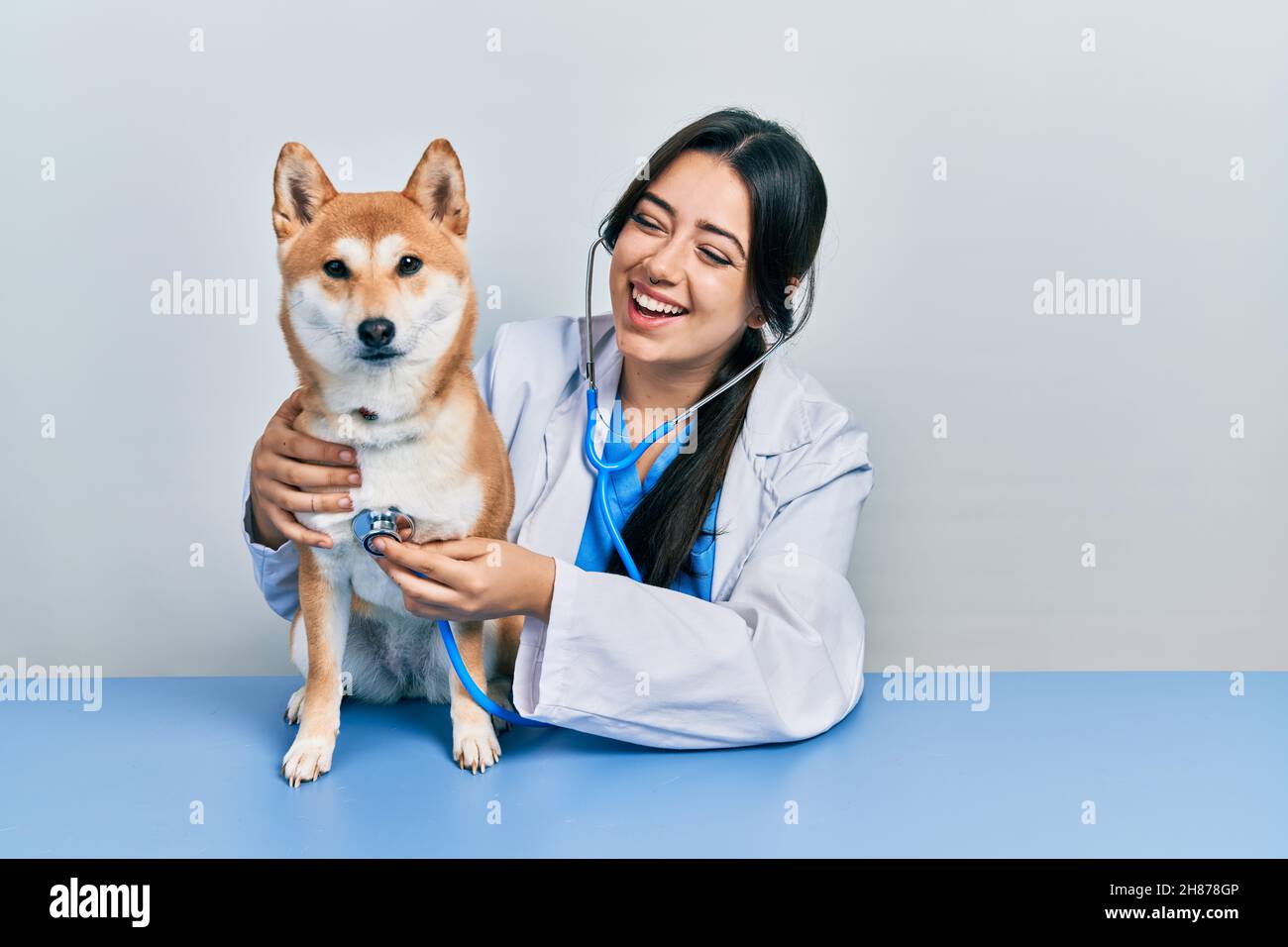 Belle femme vétérinaire hispanique vérifiant la santé de chien souriant et riant fort parce que drôle fou blague. Banque D'Images