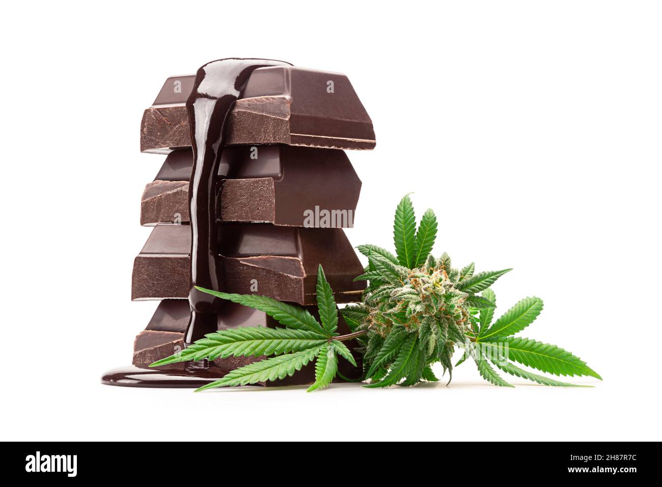 Pile de morceaux de barres de cuisson au chocolat noir recouverts de chocolat fondu avec de la marijuana médicale Bud isolé sur fond blanc Banque D'Images