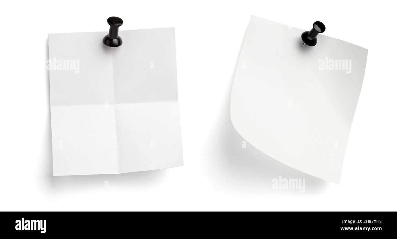 notez le message « punaise » sur papier rouge blanc noir Banque D'Images