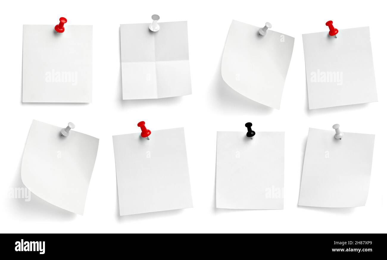 notez le message « punaise » sur papier rouge blanc noir Banque D'Images