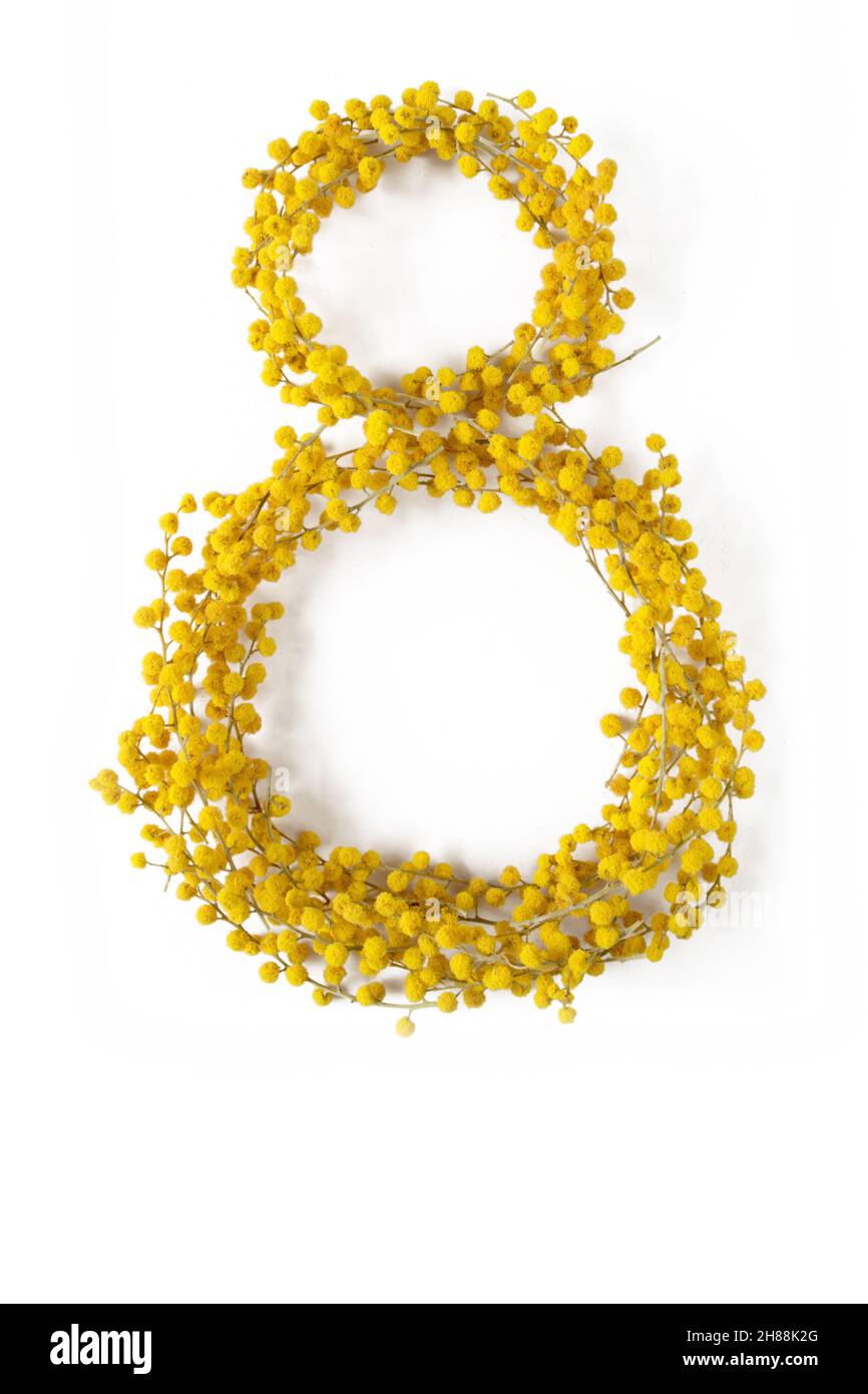 Digit huit fait de fleurs de printemps mimosa isolées sur blanc.Boules moelleuses jaune acacia.Plante décorative argentée. Banque D'Images