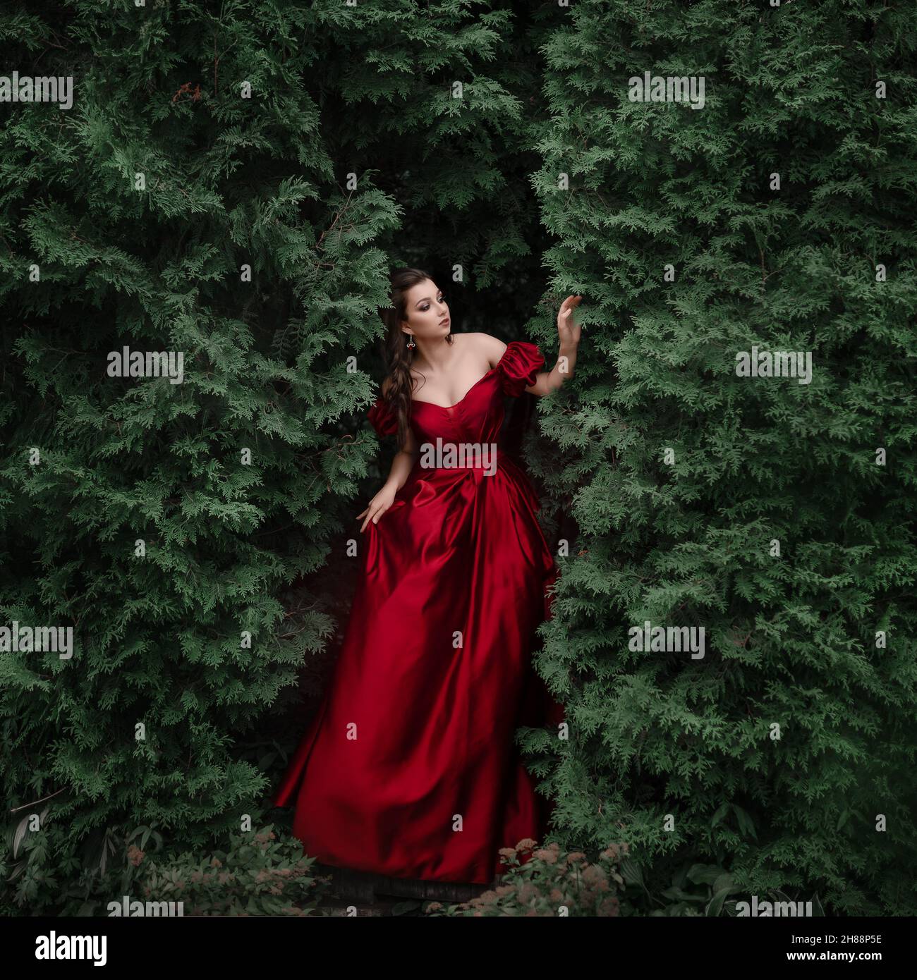 Portrait romantique de la belle femme en robe rouge dans le jardin plein de roses. Banque D'Images