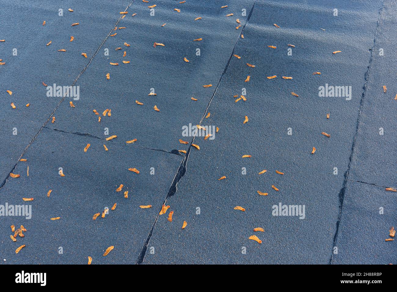 Belle vue de la texture des matériaux de couverture sur un jour pluvieux d'automne.Suède. Banque D'Images