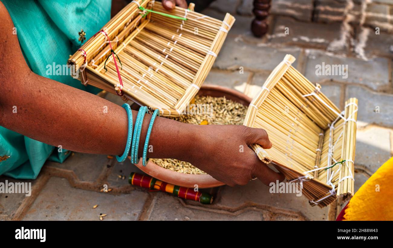 Deux femmes indiennes dans la cérémonie de mariage, les femmes célèbrent les rituels de mariage avec des choses saintes comme la graine de sorgho et le curcuma. Banque D'Images