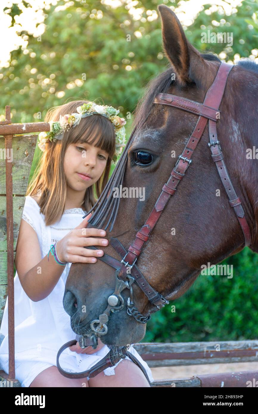 Cheval royal avec une longue crinière et une longue queue | Vecteur Premium