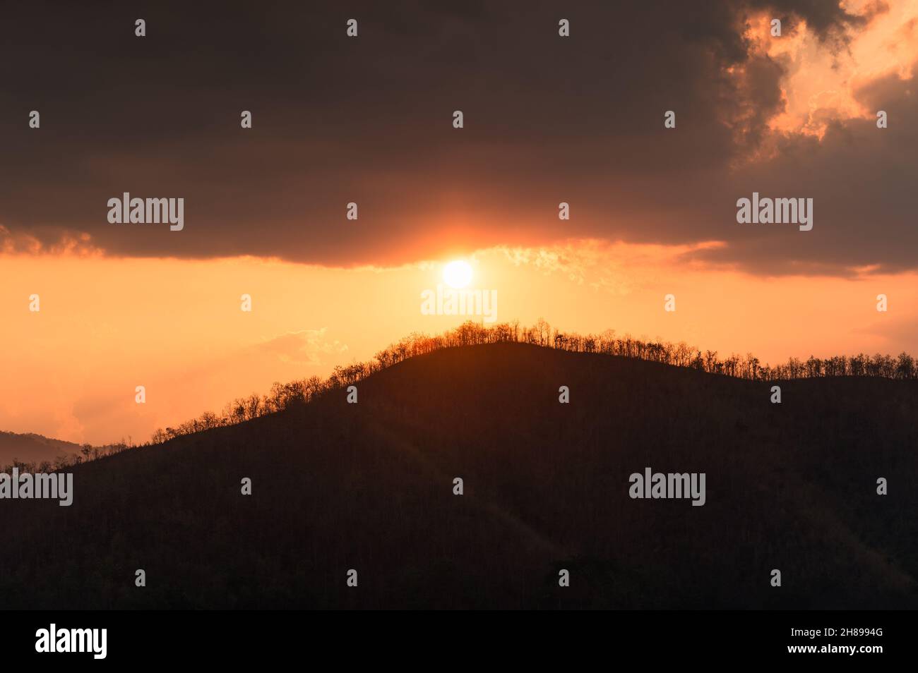 Le soleil sur le sommet de la montagne avec arbre séché dans la soirée Banque D'Images