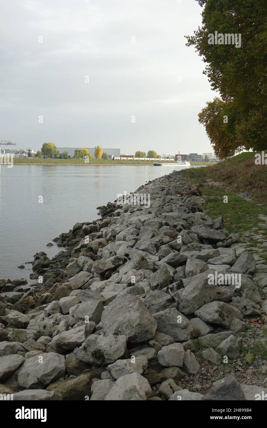 Rive du Rhin près d'Altrip avec vue sur Mannheim Rheinau Banque D'Images