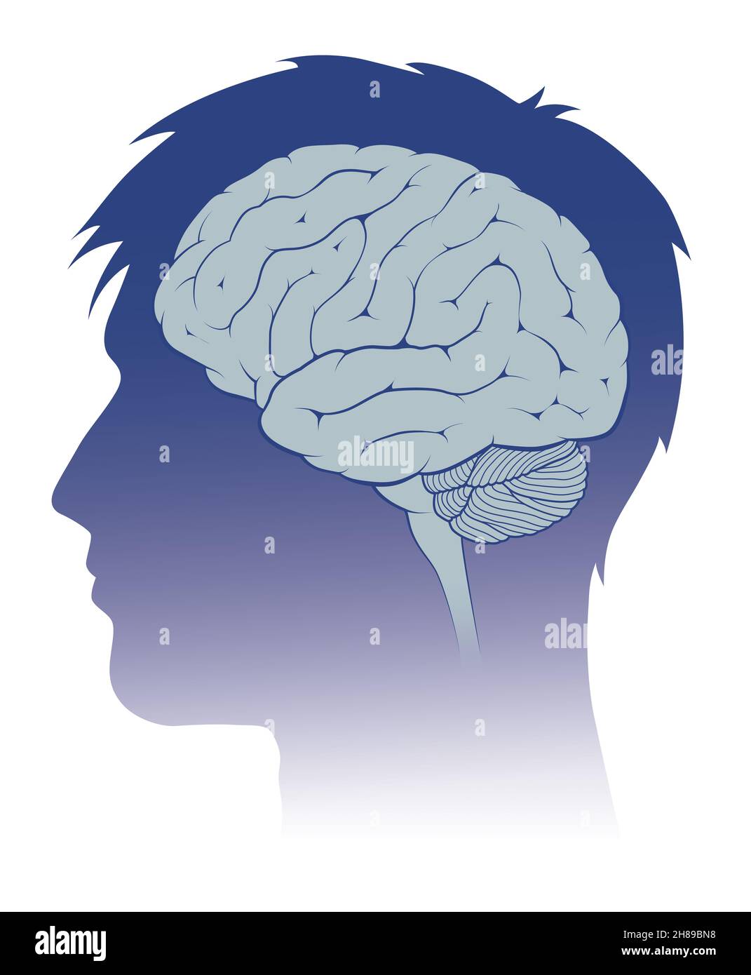 Homme de cerveau Banque D'Images