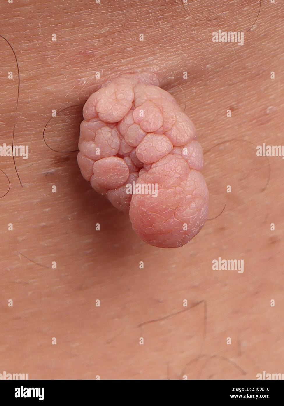 Pendule Banque D'Images