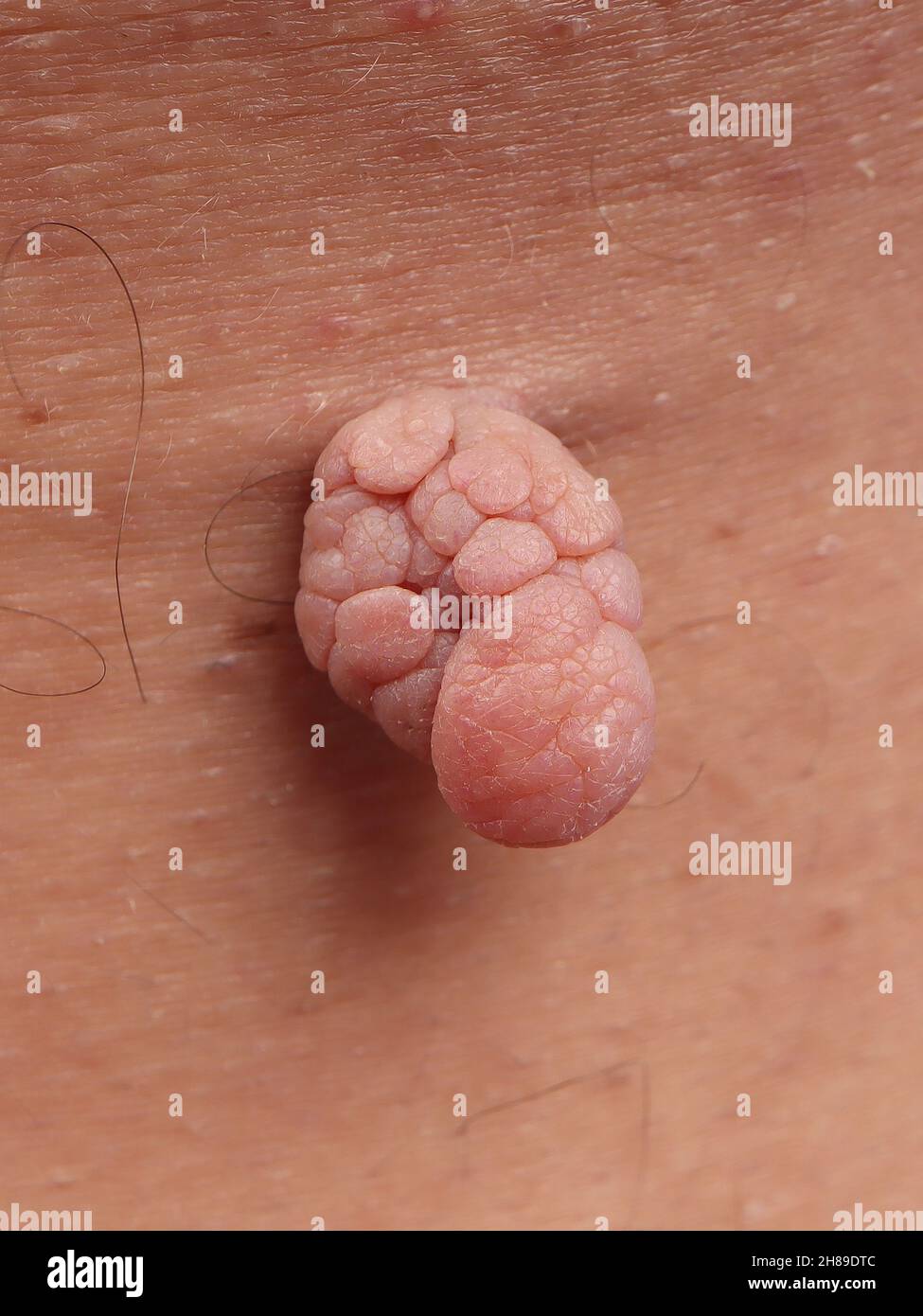 Pendule Banque D'Images