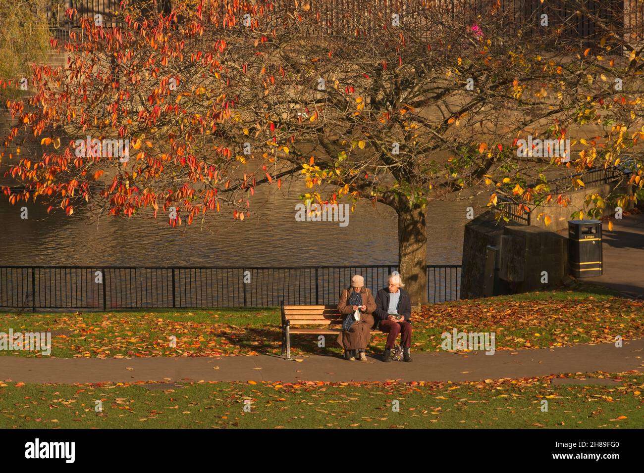 Couple de personnes âgées sur le banc du parc parmi les feuilles d'automne. Banque D'Images