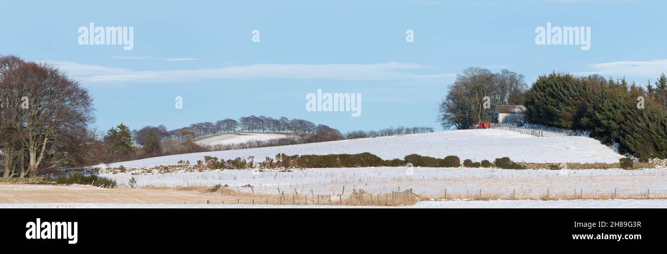 Un panorama d'hiver à Aberdeenshire, en Écosse, regardant à travers les champs enneigés vers une ancienne Grange, avec une ligne d'arbres sur l'horizon lointain Banque D'Images