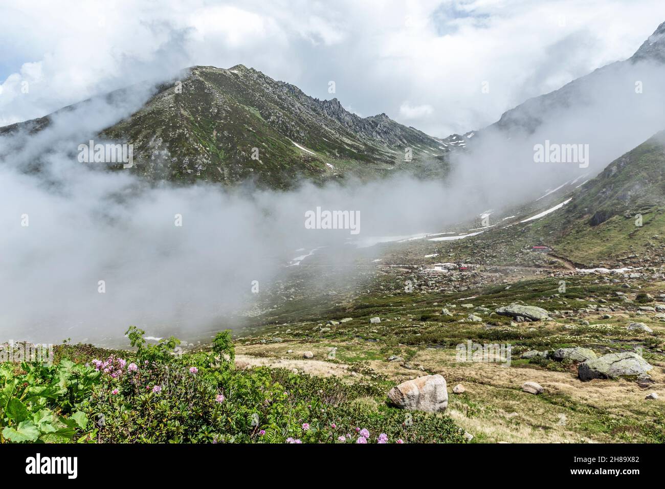 Le nord des montagnes Altınparmak, la ville natale des Laz et les couleurs du printemps Banque D'Images