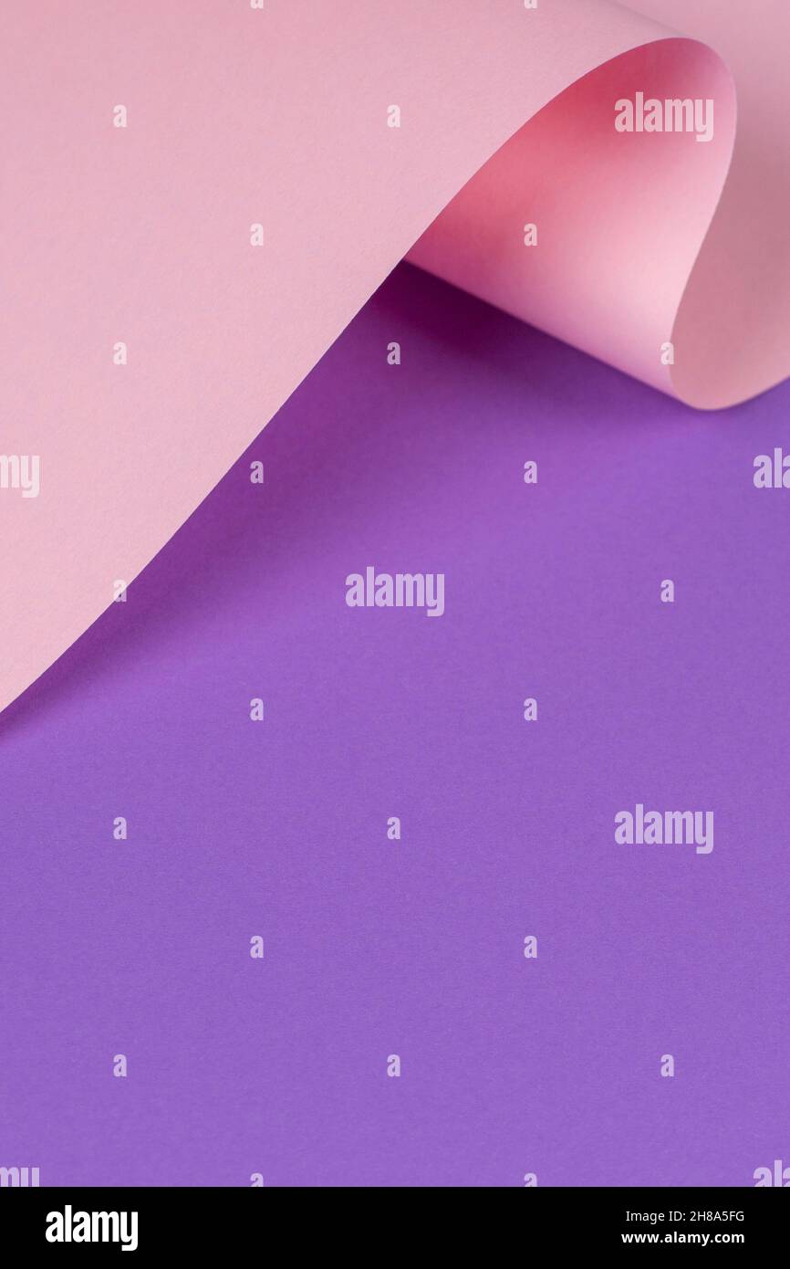 Vague abstraite de papier rose pastel et violet.Papier courbe géométrique créatif avec lumière et ombres.Arrière-plan de géométrie abstraite avec espace de copie Banque D'Images