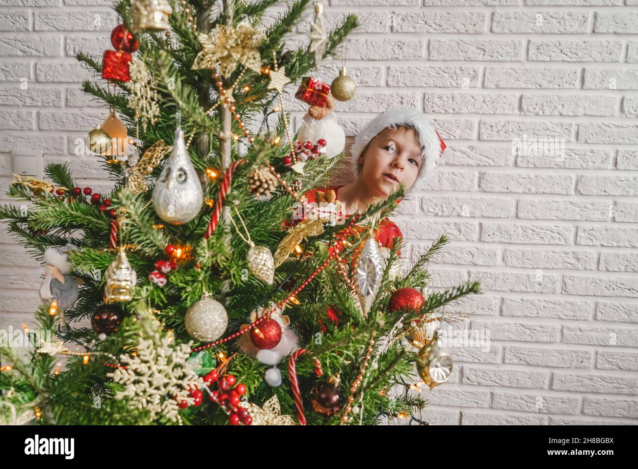 L'enfant sort de derrière un arbre de Noël.Arrière-plan mural en brique blanche.Concept de Noël et de la Saint-Sylvestre.Copier l'espace. Banque D'Images