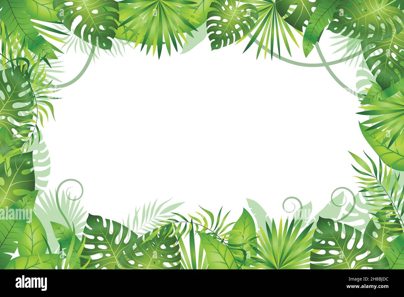 Fond de jungle.Cadre de feuilles tropicales.Plantes à feuillage de forêt tropicale, arbres à herbe verte.Paradis la jungle africaine de la faune Illustration de Vecteur