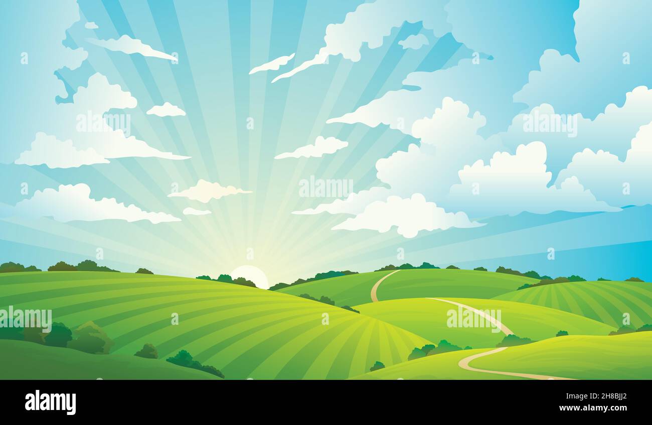 Paysage des champs.Paysages collines vertes nature ciel horizon prairie champ d'herbe rural terre agriculture prairie Illustration de Vecteur