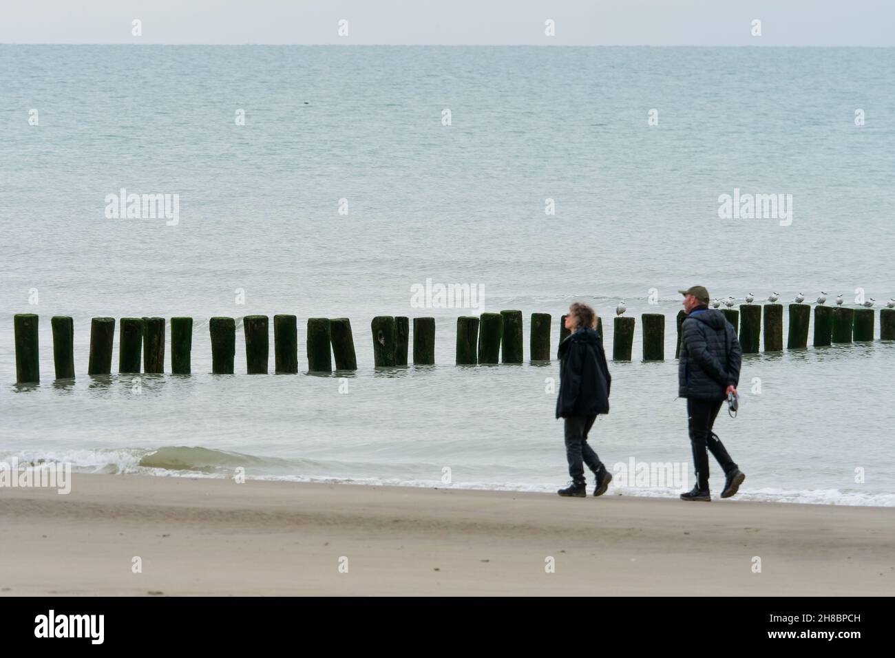 Personnes marchant sur la plage de sable, Berck sur Mer, pas de Calais, Picardie, Nord-Ouest de la France Banque D'Images