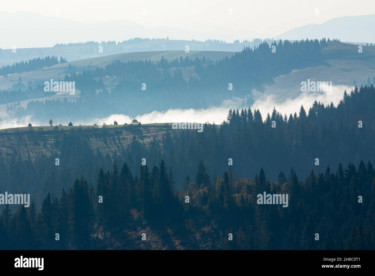 paysage de voyage brumeux dans les montagnes. merveilleux paysage d'automne matin avec des forêts sur les collines Banque D'Images paysage de voyage brumeux dans les montagnes. merveilleux paysage d'automne matin avec des forêts sur les collines Banque D'Images