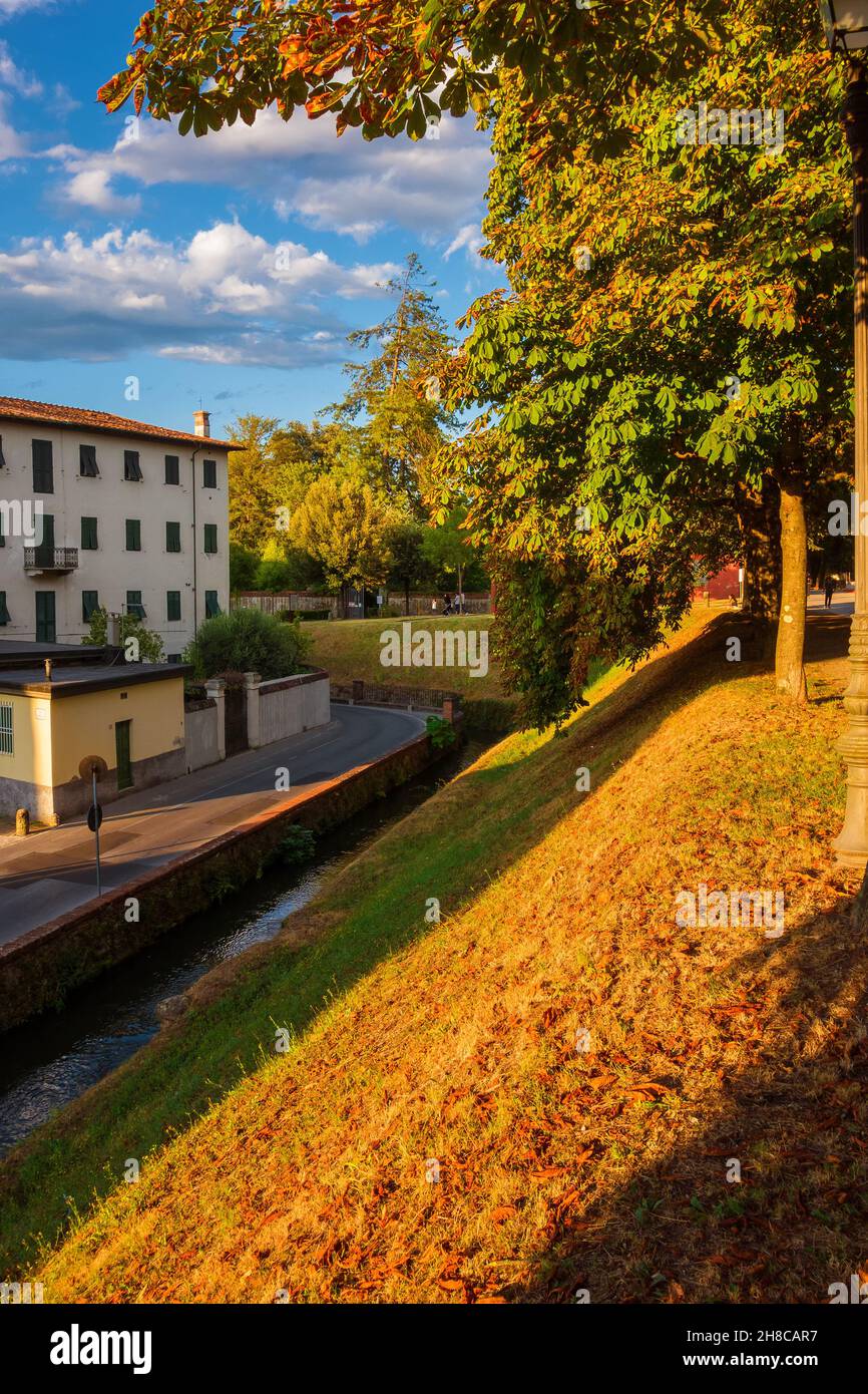 Les murs de Lucques parc public avec des feuilles automnales de châtaignier de cheval Banque D'Images