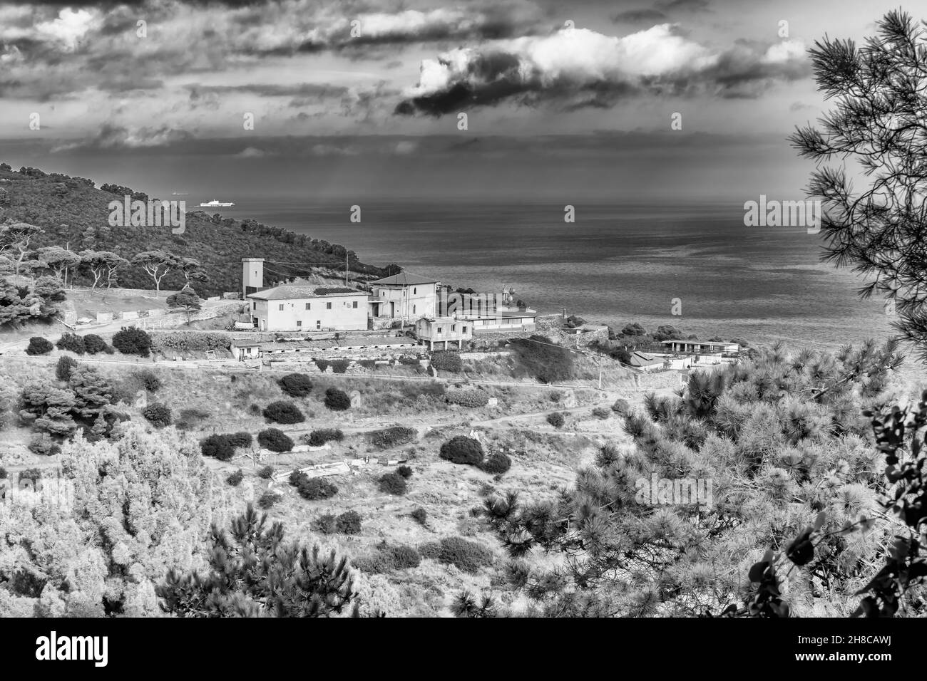 Vue en noir et blanc d'un aperçu de l'île de Gorgona, Italie Banque D'Images